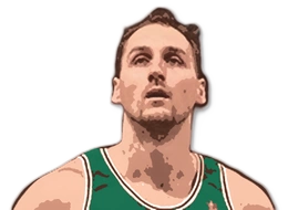Dino Radja